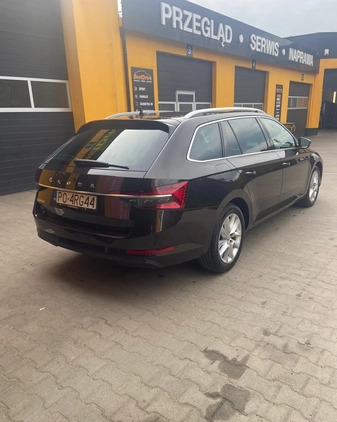 Skoda Superb cena 145000 przebieg: 28715, rok produkcji 2020 z Torzym małe 277